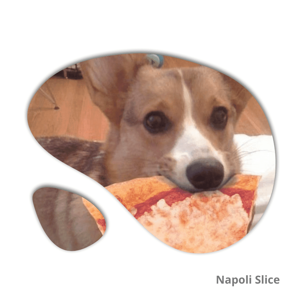 pueden los cachorros comer masa de pizza