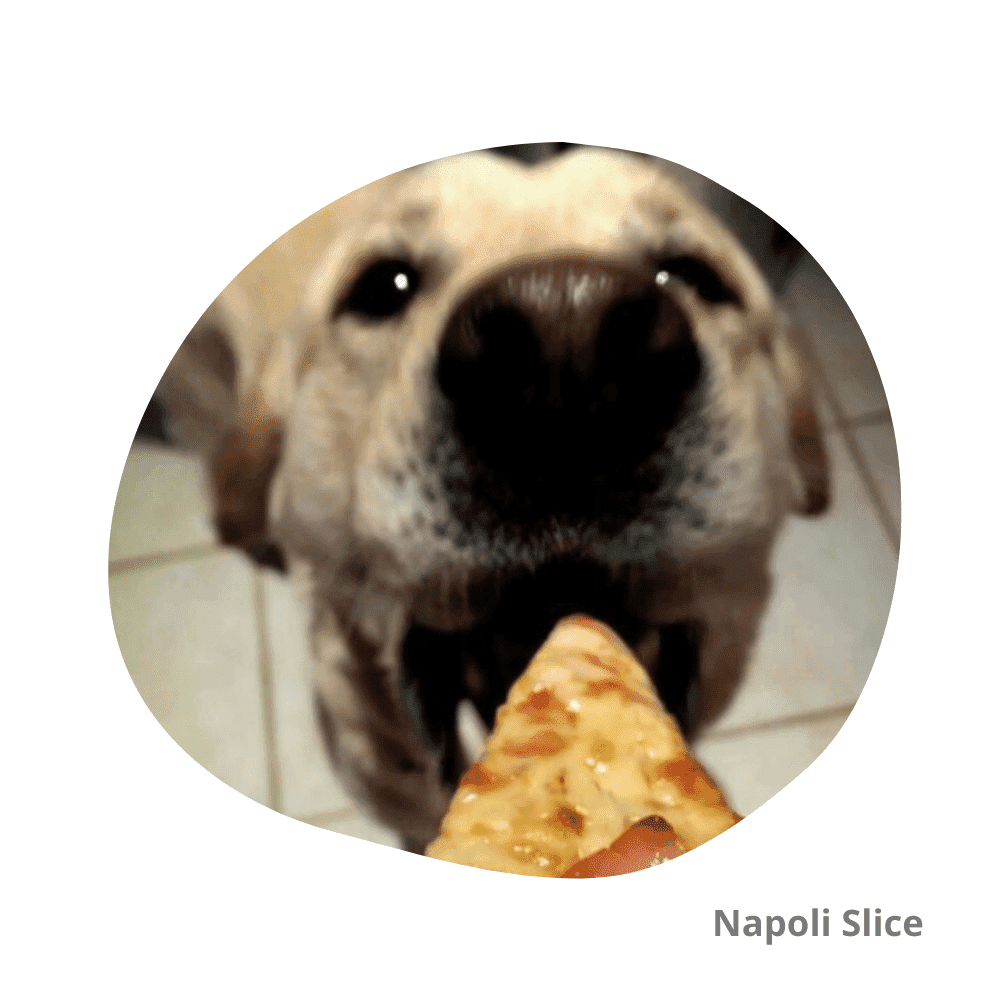 pueden los cachorros comer masa de pizza